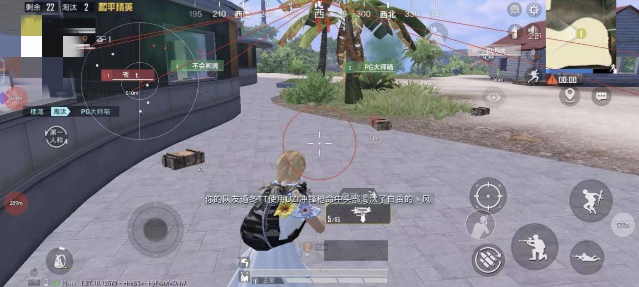 和平精英【EAD内部】辅助